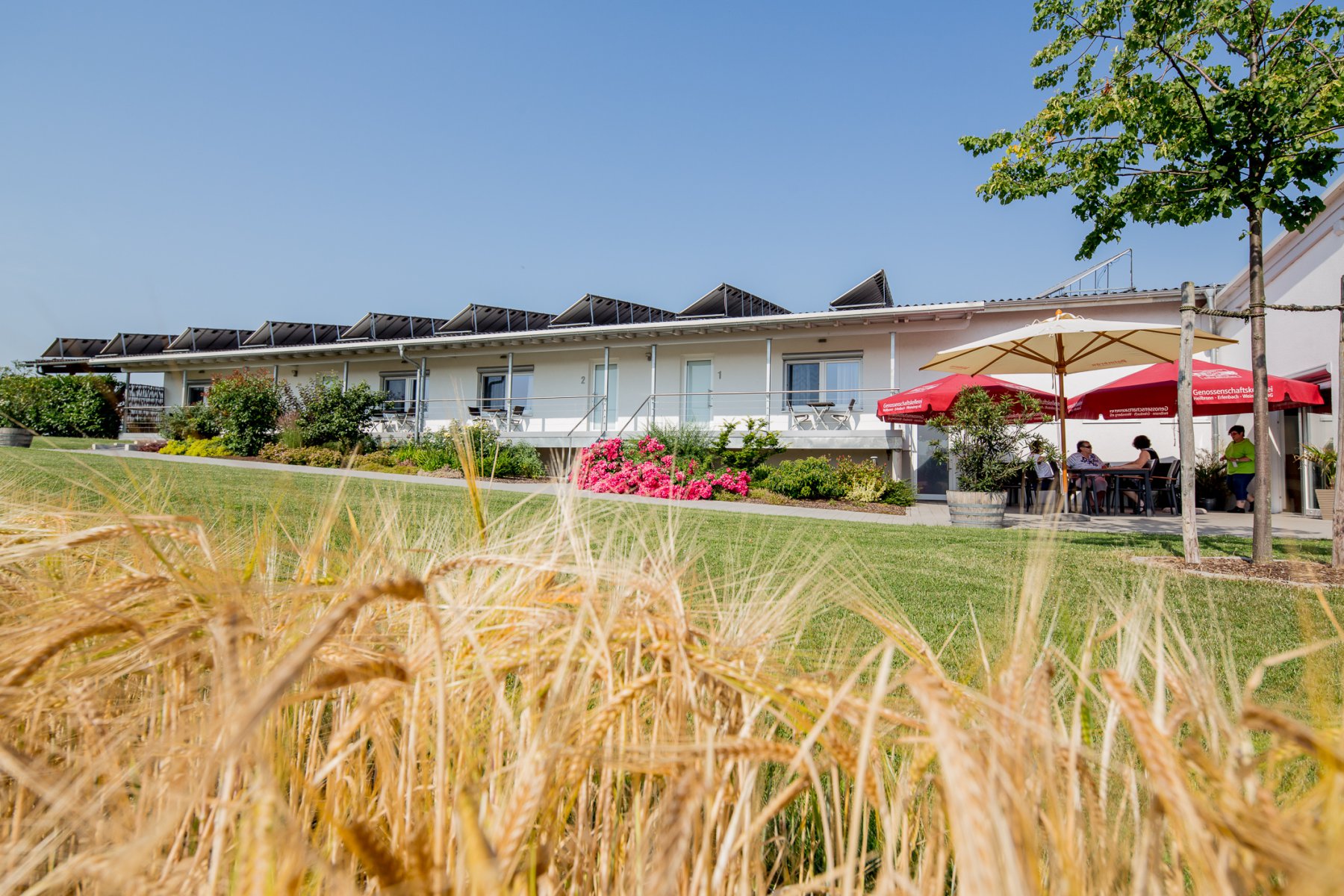 cafe_und_wein_sii_an_9671.jpg cafe_und_wein_sii_an_9671.jpg